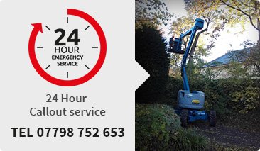 Photo of Tree surgeons Didcot Tree surgeons Didcot