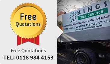 Photo of Tree surgeons Henley Tree surgeons Henley