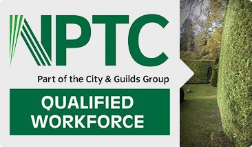 Photo of Tree surgeons Bracknell Tree surgeons Bracknell