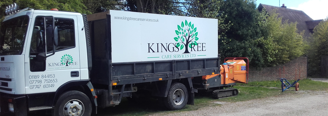 Photo of Tree surgeons Reading 1 Tree surgeons Reading 1