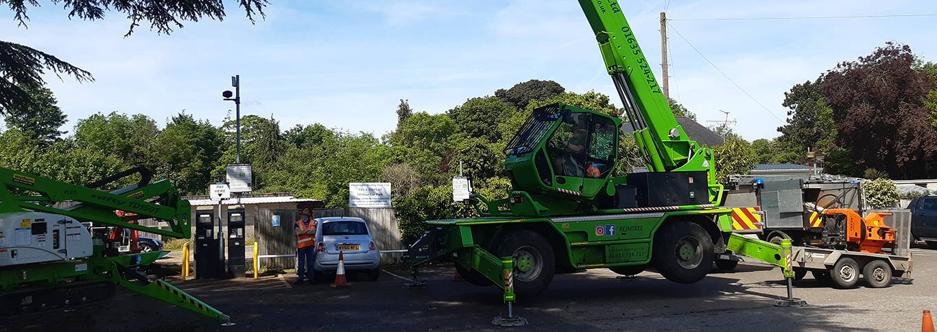 Photo of Tree surgeons Reading Tree surgeons Reading