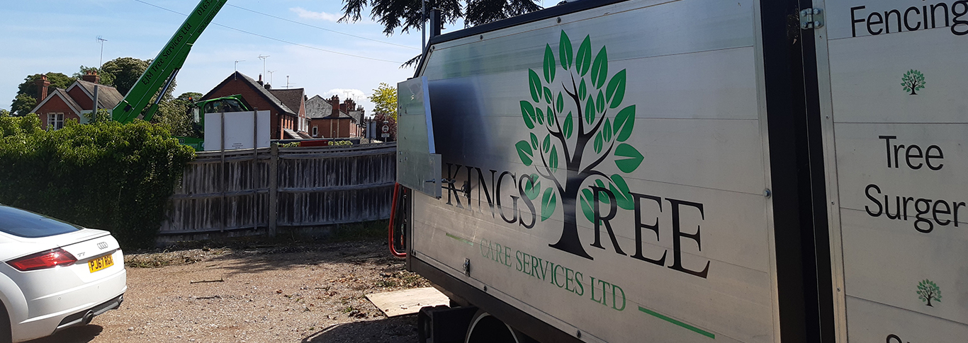 Photo of Tree surgeons Reading Tree surgeons Reading